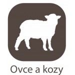 Agromaterial.sk - Ovce, kozy